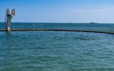 Performance ou santé ?