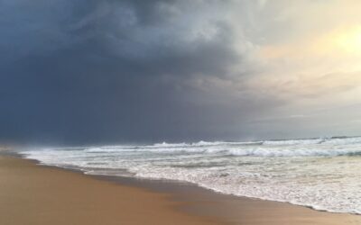 Stable comme l’océan