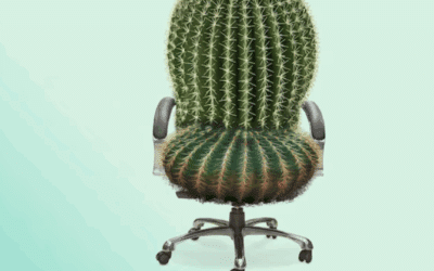 Le confort inconfortable