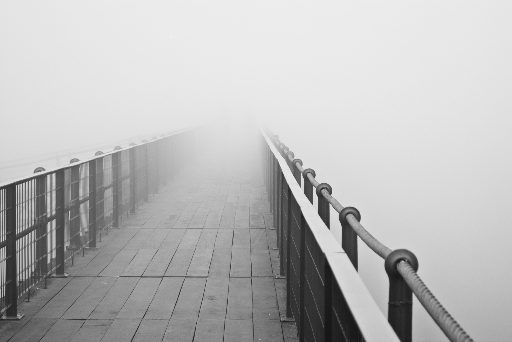 BRIDGING FUTURE